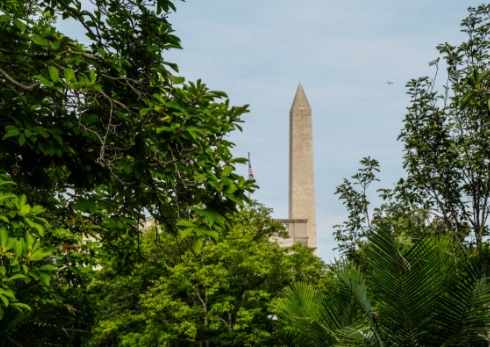 Smithsonian Student Journey DC Alabama 8 A view of the Washington Monument through leafy branches