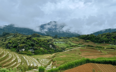Thailand & Vietnam: A Program Director’s Insights